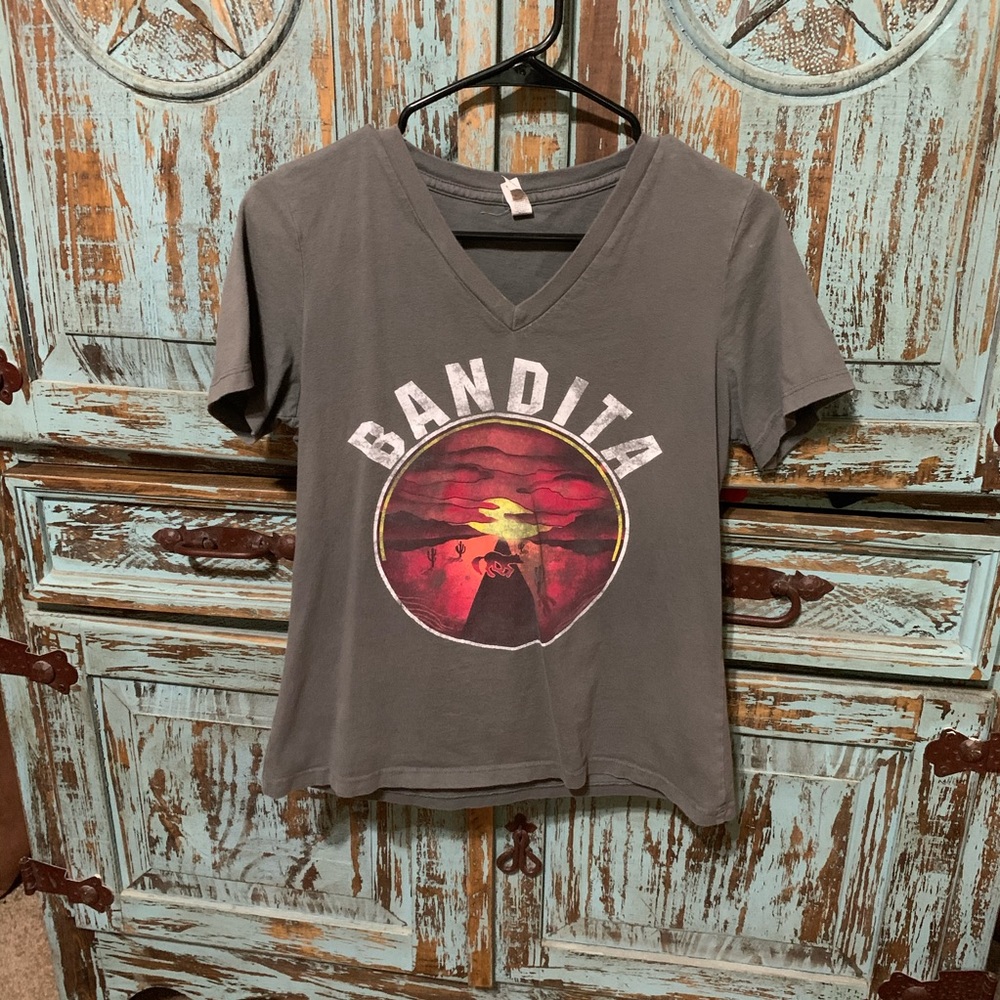 Gray v neck top